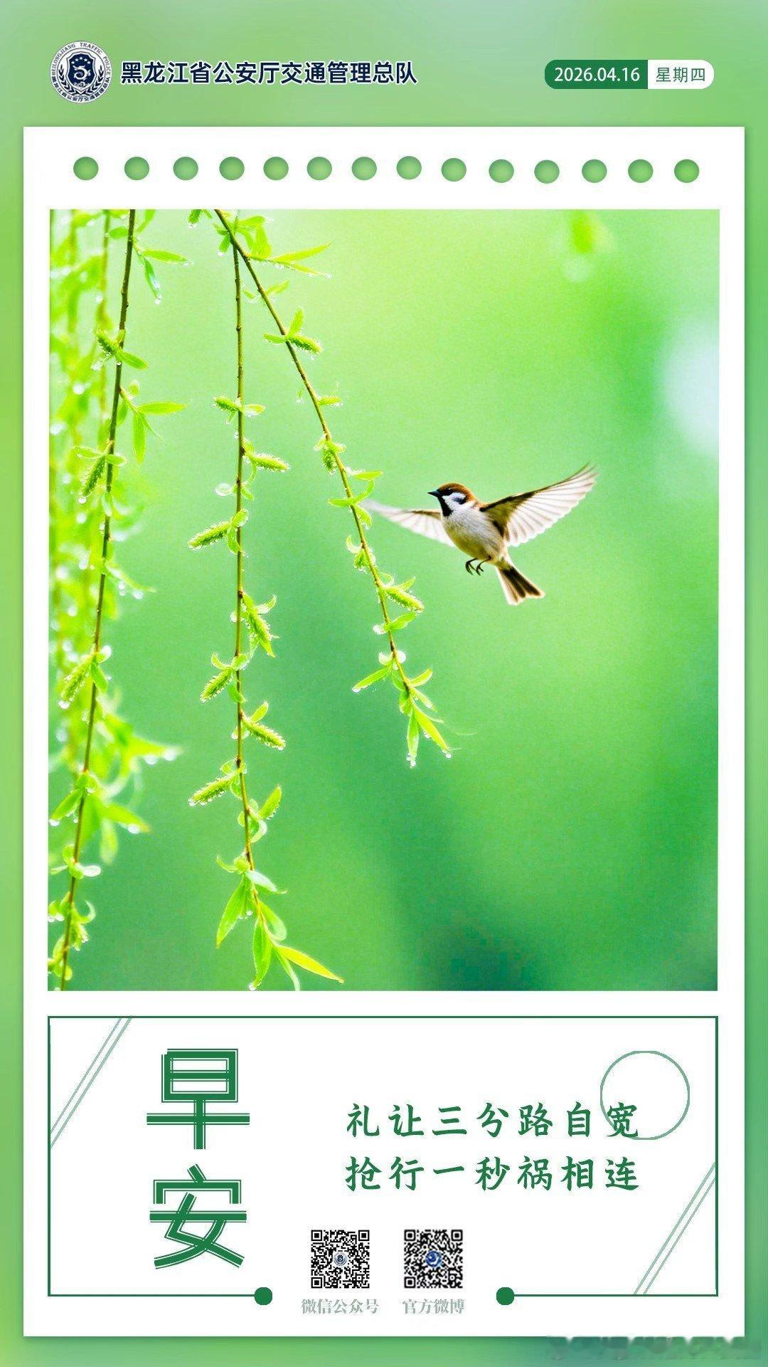 早安 礼让三分路自宽，抢行一秒祸相连。早安早安心语早安高小黑早安龙江 （