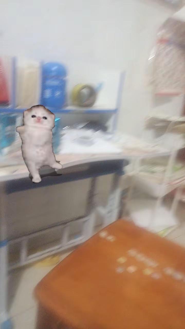 biubiubiu小猫朝我跑来