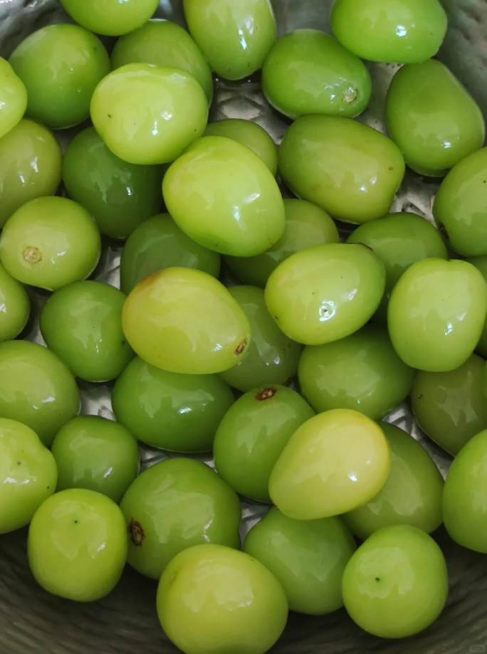 阳光玫瑰现在真的又便宜又好吃[馋嘴][馋嘴] ​​​