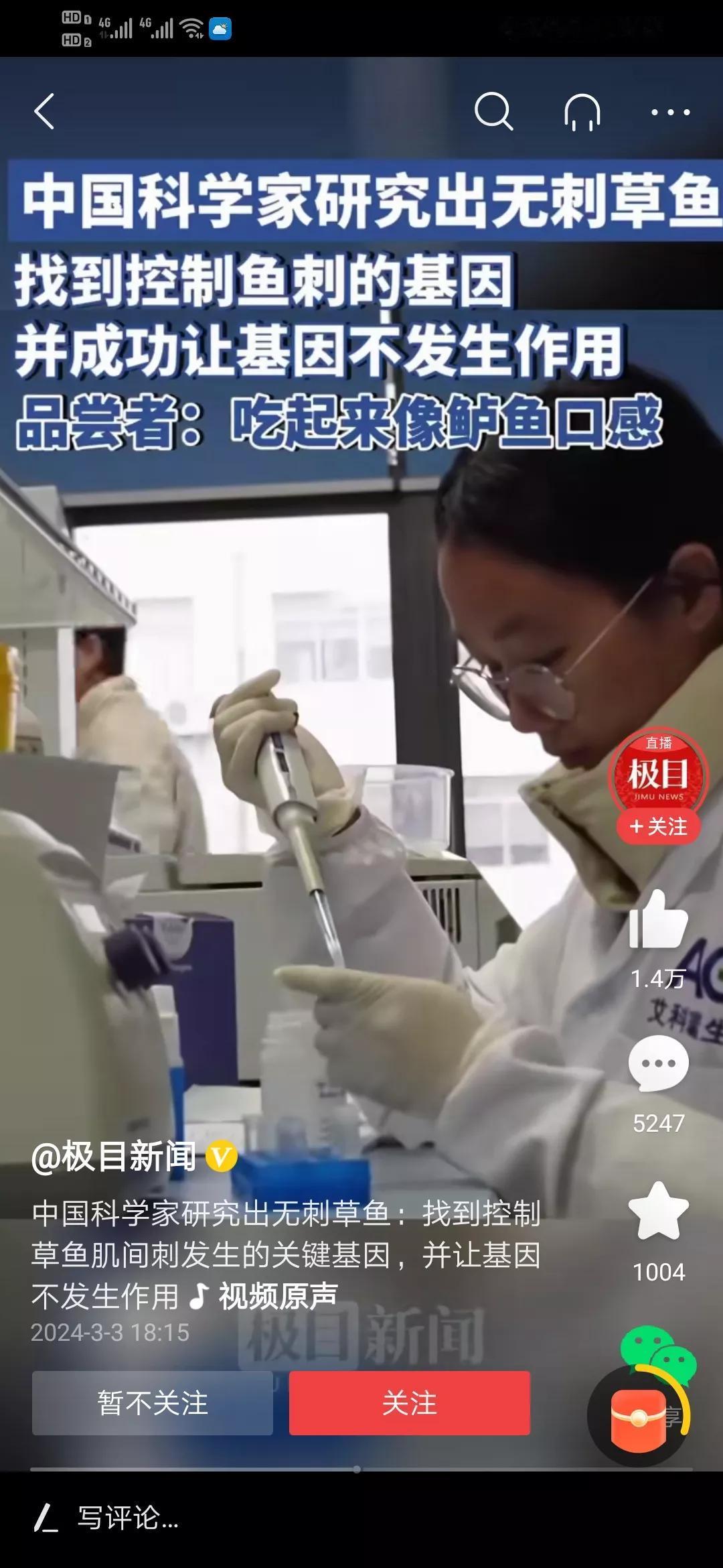 中国科学家真牛，培育出无刺鱼，味道更鲜嫩，爱吃鱼的不用被刺扎了。