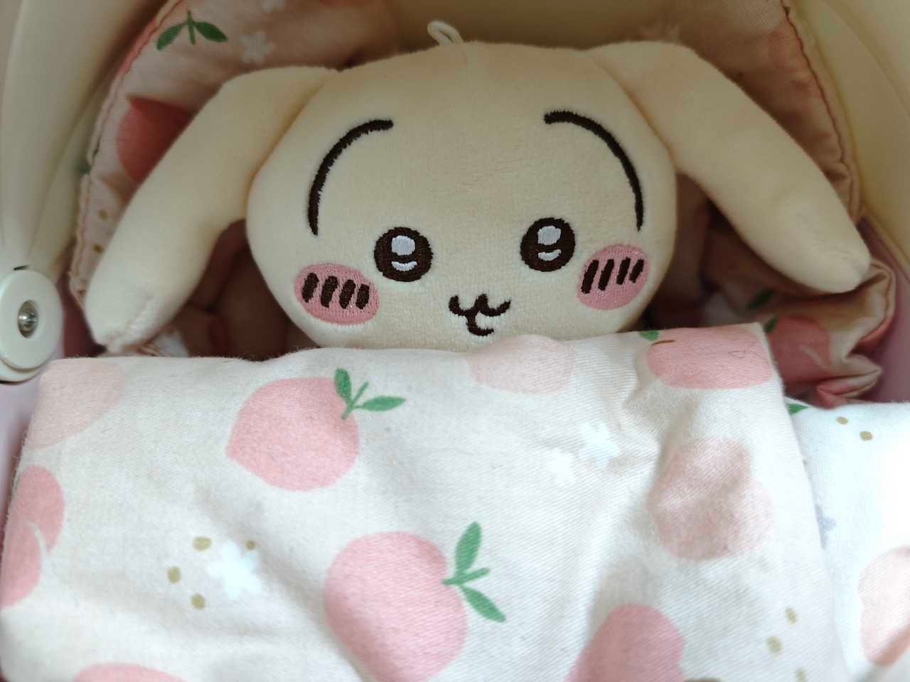 睡美猪 