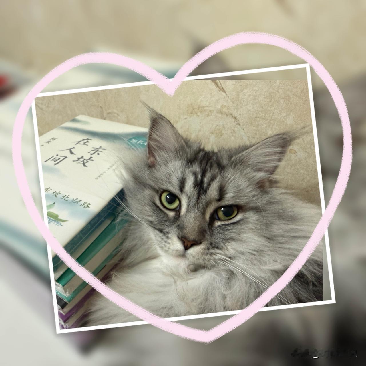 不如读书吧
虽然现在书也是买得少了许多，但有些书还是要看纸质版的。
《太平年》没