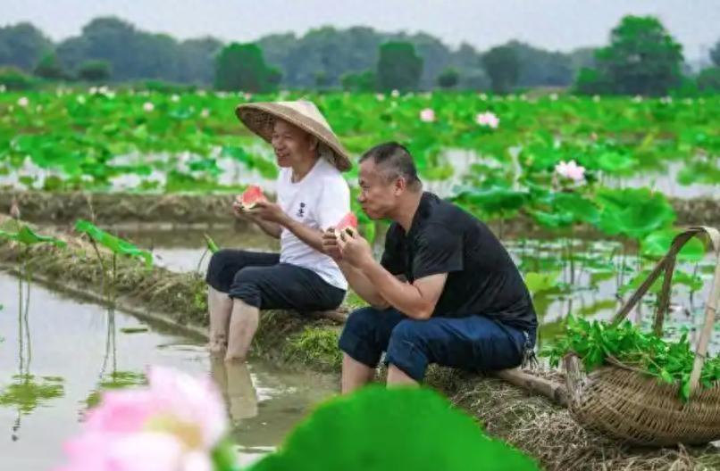 我国1986年实行夏令时，每年节约7.5亿度电，为何六年之后却被取消了呢？
19