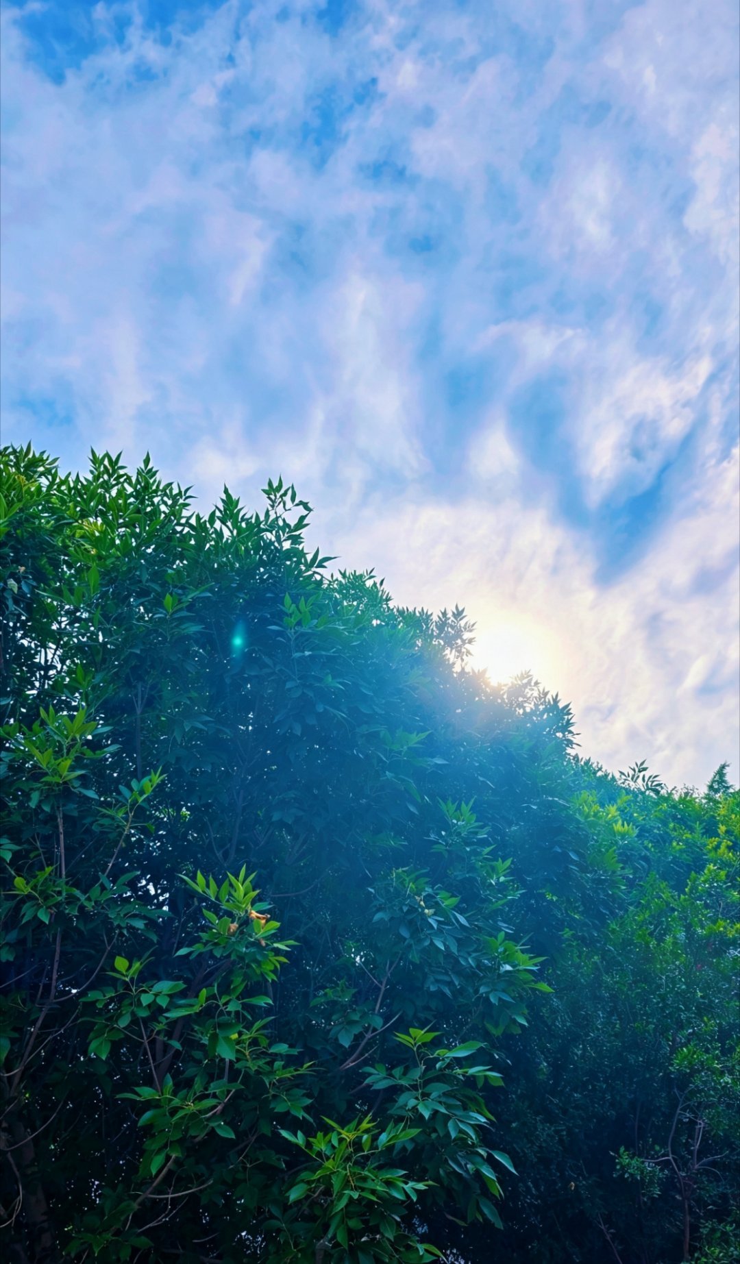 抬头望了天空一眼👀是大太阳啊☀️大太阳哈大太阳……gcgg贼啦稀饭你哈……你偷