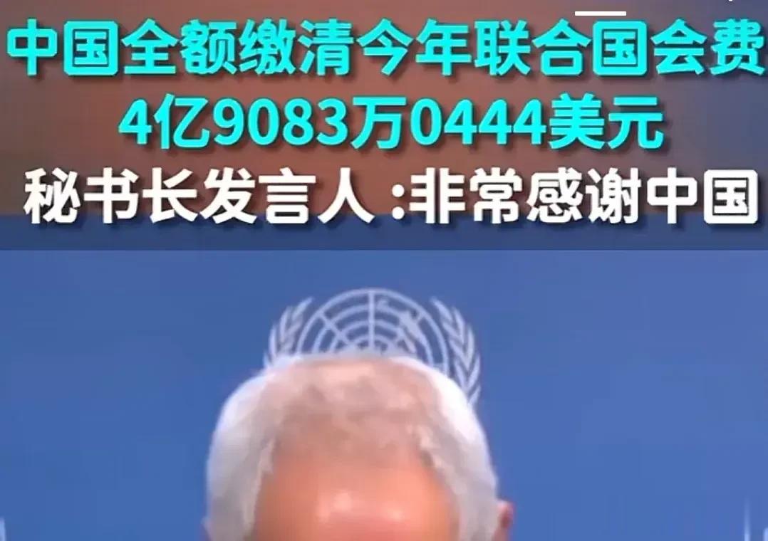 我日你妈了个蛋的