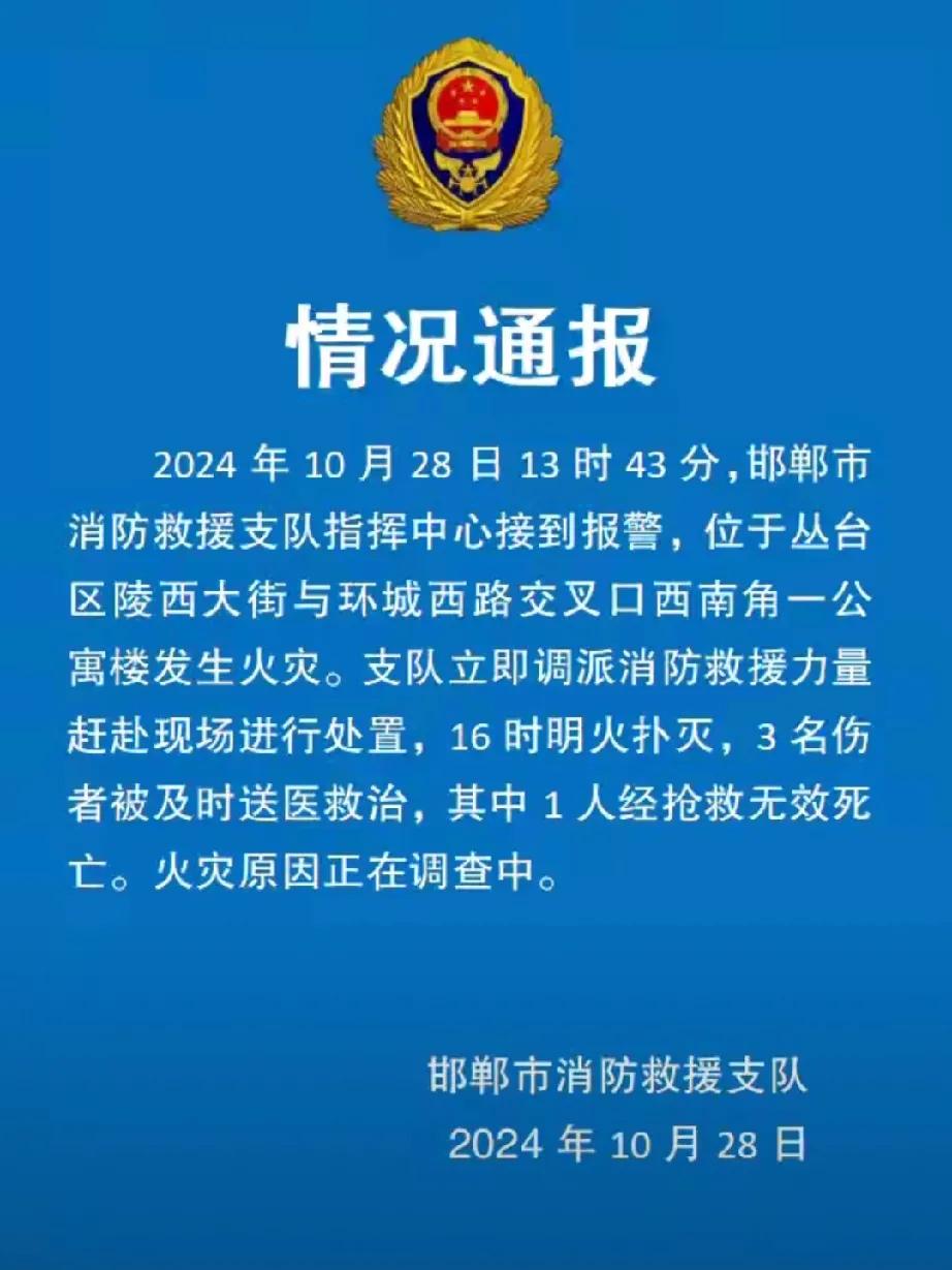 河北公寓楼火灾：生命的警钟与未知的谜题

在这个看似平常的 2024 年 10 