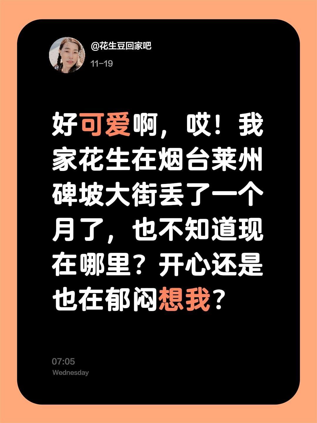 烟台莱州丢狗找狗。我评论了 的作品： 好可爱啊，哎！我家花生在烟台莱州...