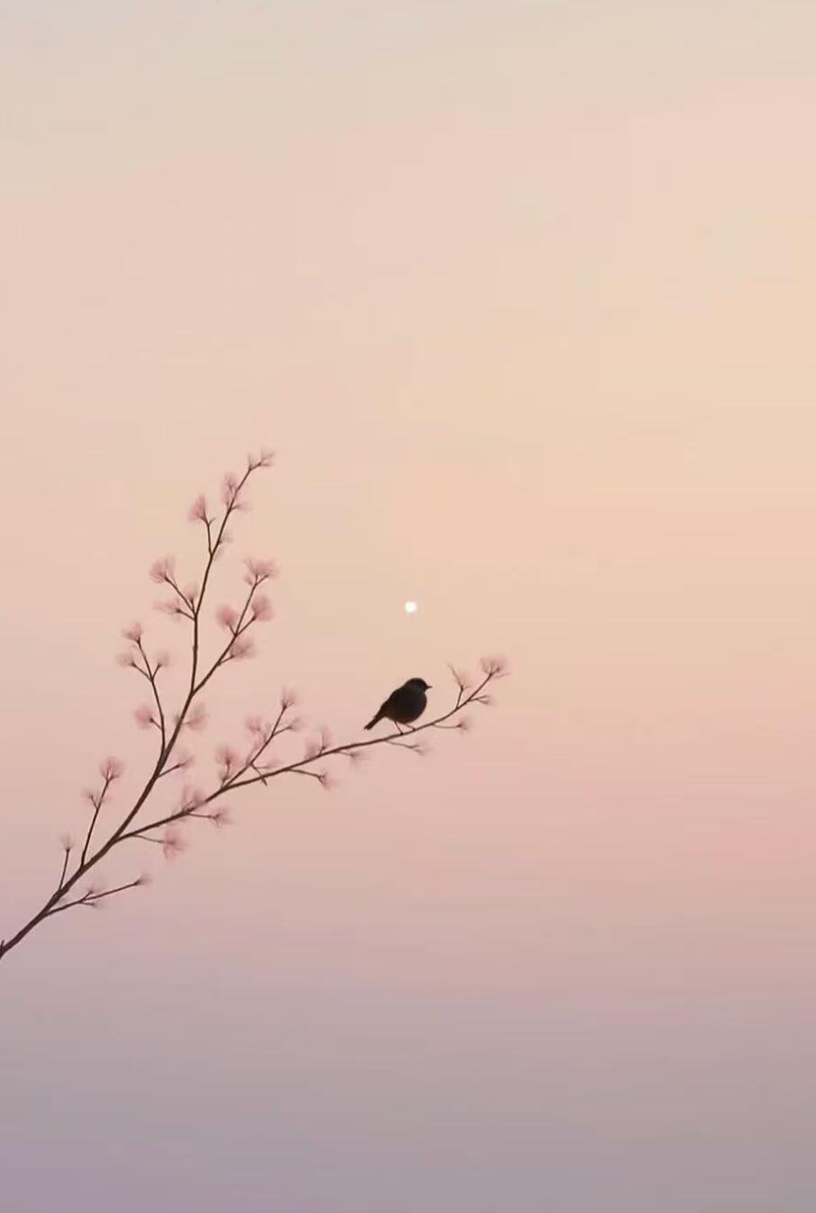 将扰扰，付悠悠此生于世百无愁- 辛弃疾 