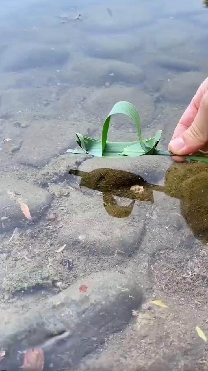 小时候的乌篷船还记得怎么折吗？