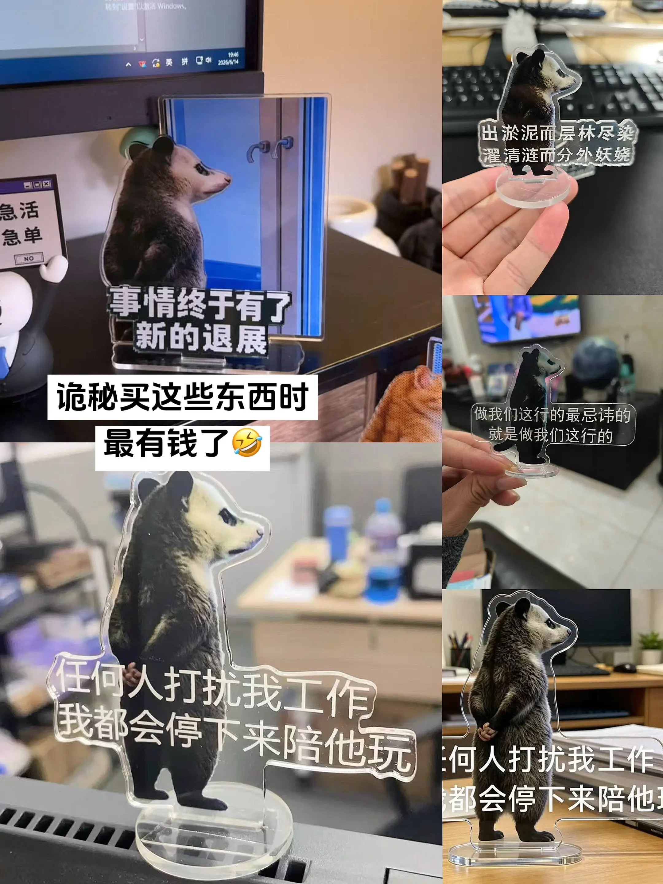 闺蜜买这些东西时最有钱了🤣 买来放桌上