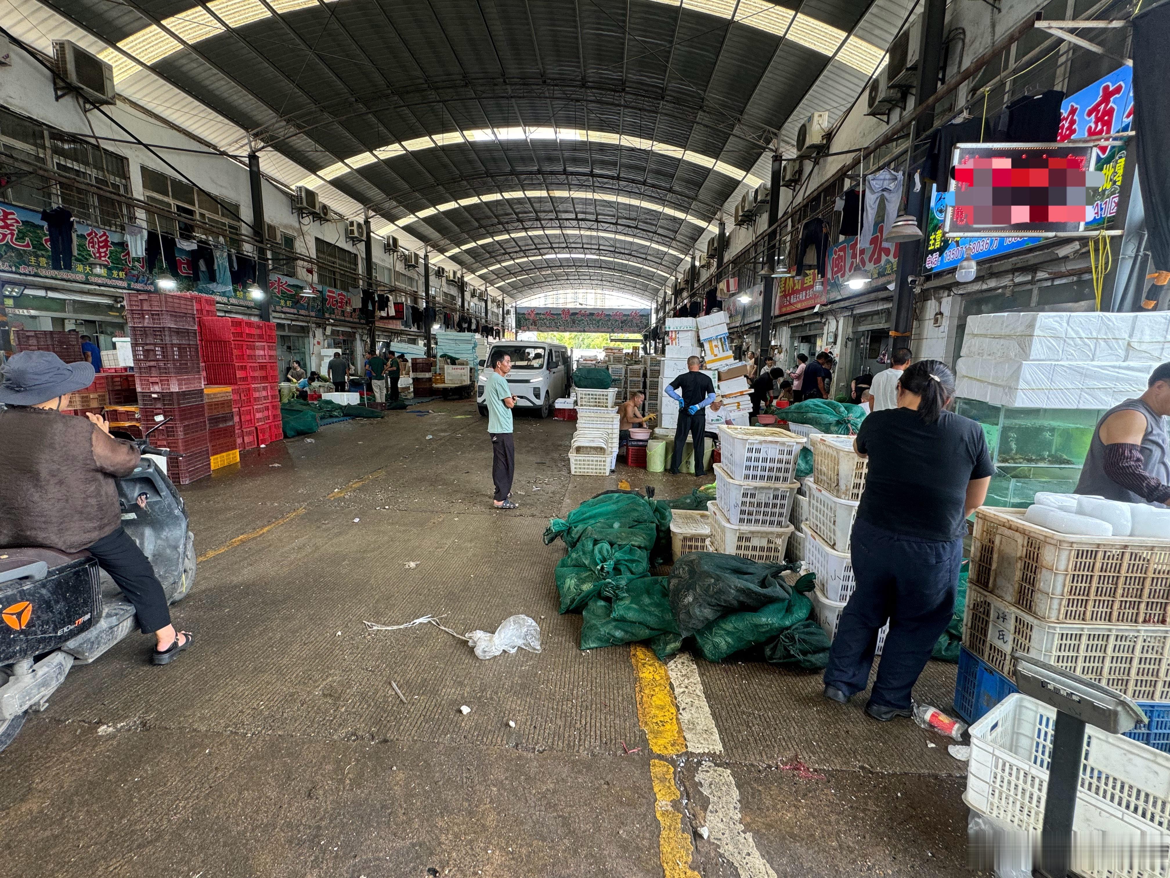 刚去买螃蟹本来想买梭子蟹找了一圈 没有卖的后来随便选了一家大闸蟹10块一只 个头