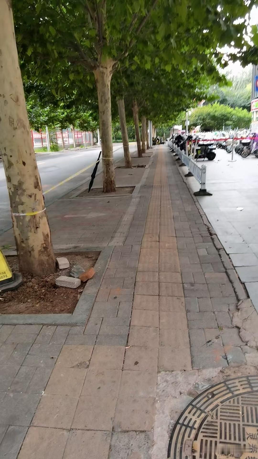 石家庄多条道路开展盲道修缮整治工作】此前连续刊发盲道观察系列报道，反映出市区多处