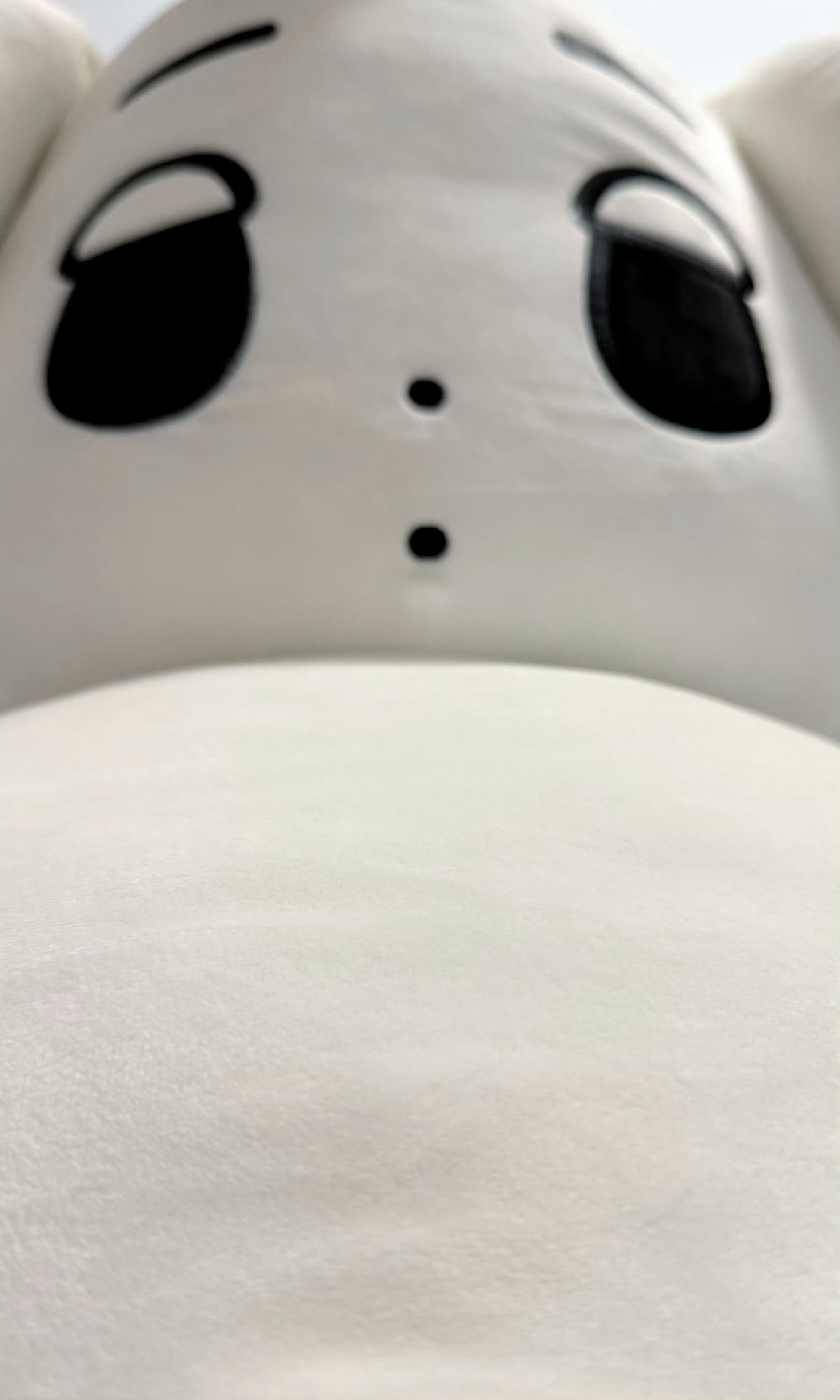 超级大胖狗 ​​​