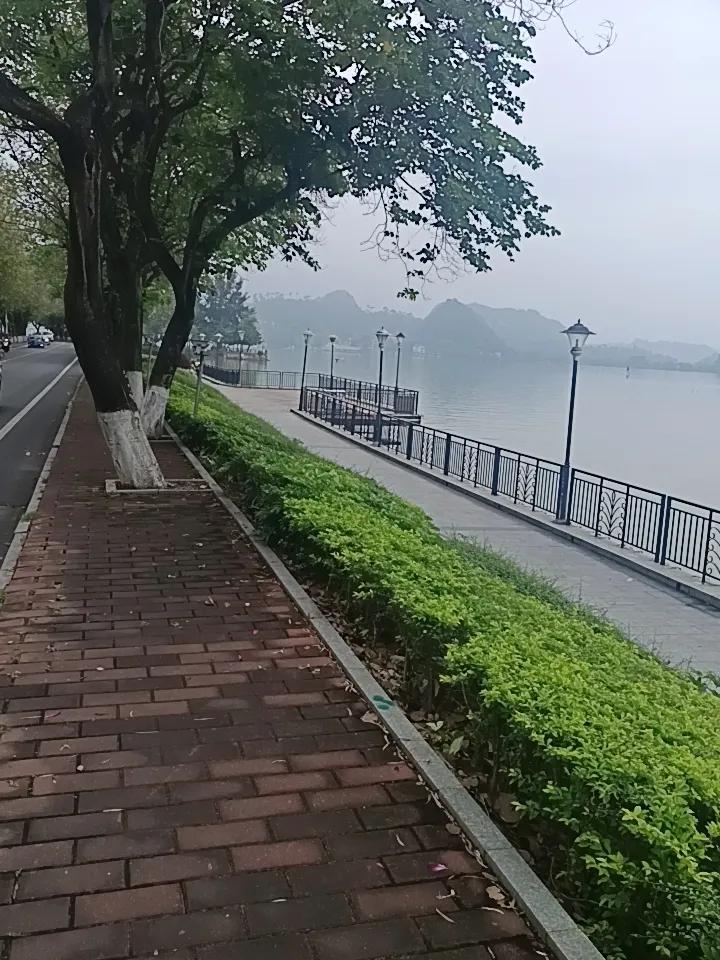 你敢相信吗？这就是有一点
清晨薄雾的肇庆星湖