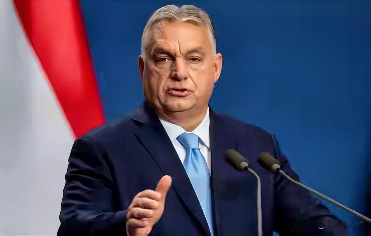 欧尔班会把匈牙利带沟里的，把欧盟平台当能力愚蠢至极，欧尔班最近表示：未来100年