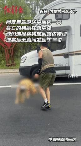 “也许这就是因果吧！”内蒙古，一对夫妻在公路上，看见一只大狗被撞身亡，夫妻俩不忍