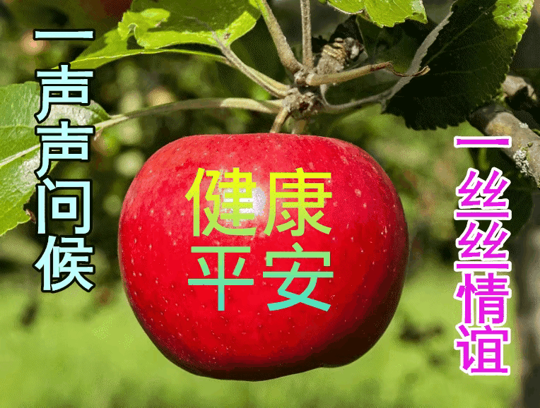 今日除夕，出联邀对，请看：
上联：呼旧友，唤新朋，丙午祝你福寿增，临屏未曾面对面