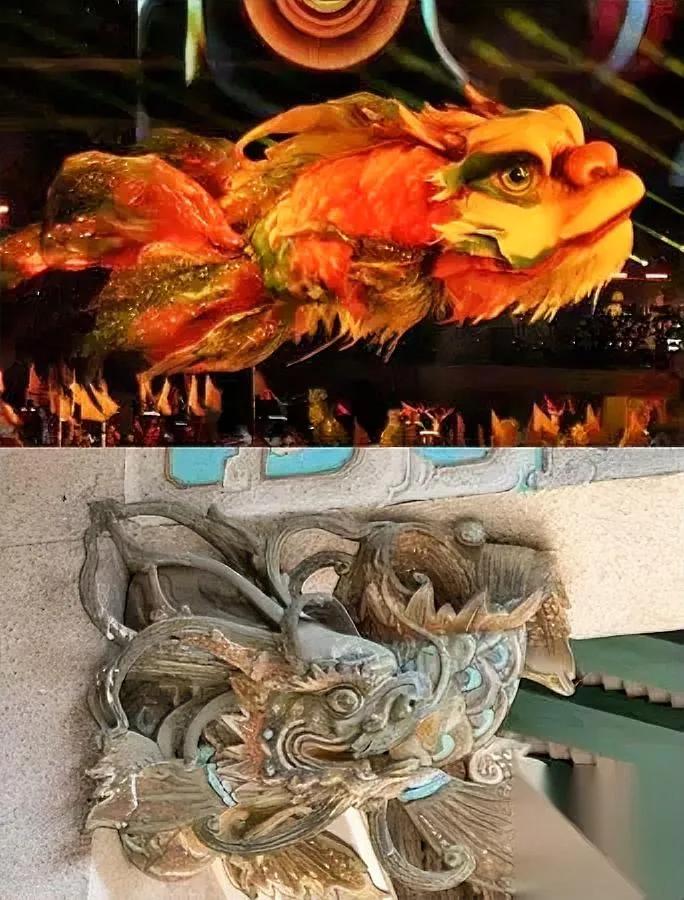 南北差异有多大？看鳌鱼就知道

同个神兽竟活出两辈子！

南方的鳌鱼简直是"社交