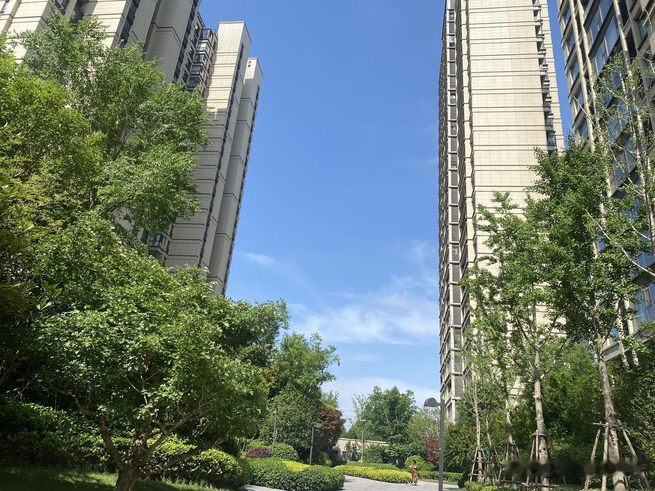 真心话茶局现代都市中的绿意盎然，静享自然与建筑的和谐共存。