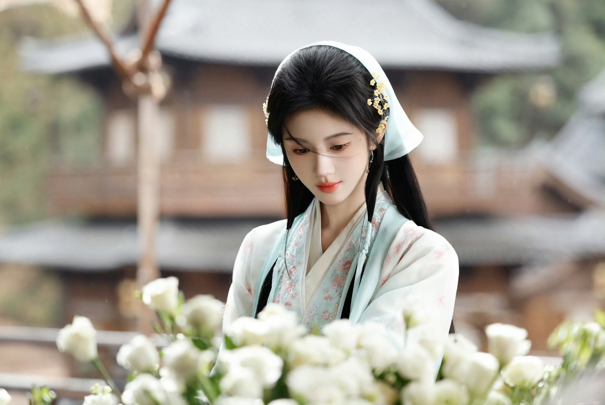 鞠婧祎 jjy鞠婧祎苏绿夏 喜见你眉秀似山，眼拥星霜