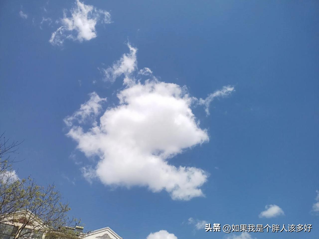 真是立竿见影，我家附近的两家饭店都在拆防护窗，不知道是自觉行为还是有关部门强制的