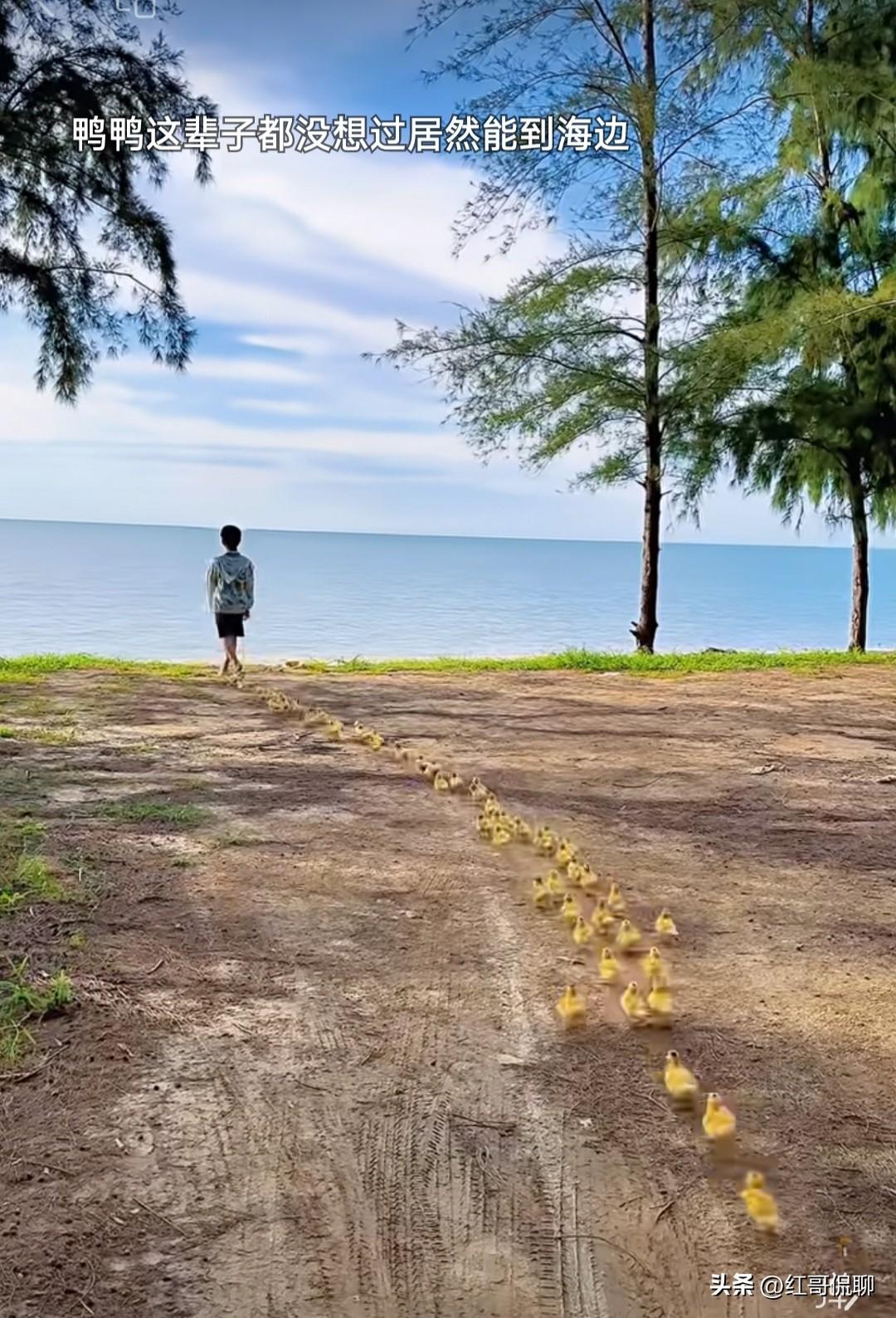 北海没去过，但他肯定不及三亚热，中国人有个有点也是缺点就是喜欢自我感觉良好[呲牙