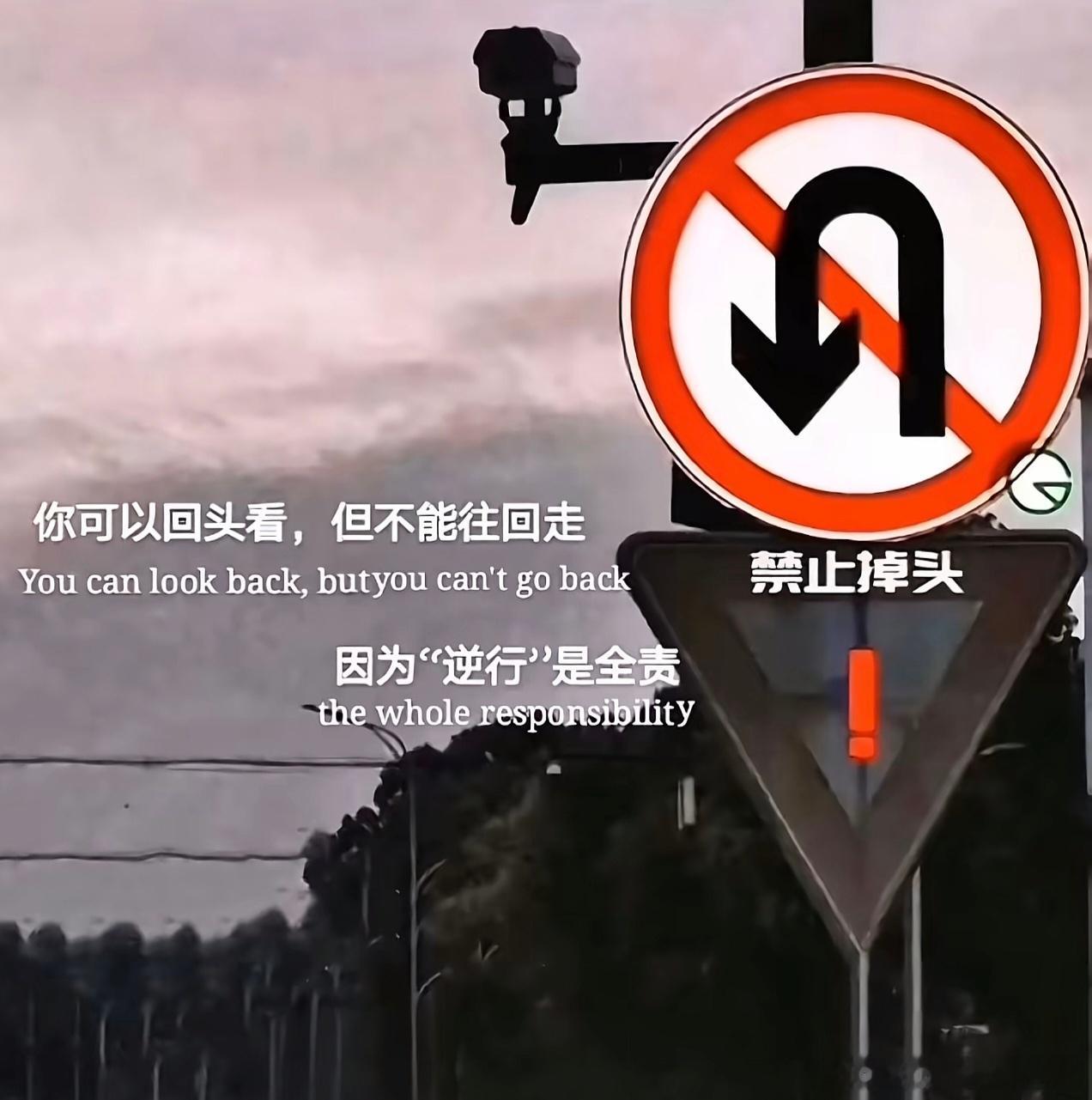 不要回头，因为逆行全责！！ 