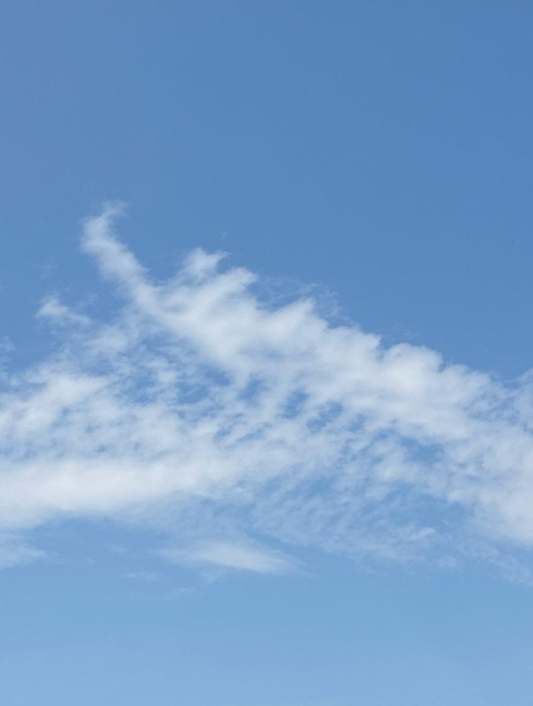 生活手记专家说7月8号又有第二波热浪来临，今年看来夏天难熬了[流泪][流泪][流