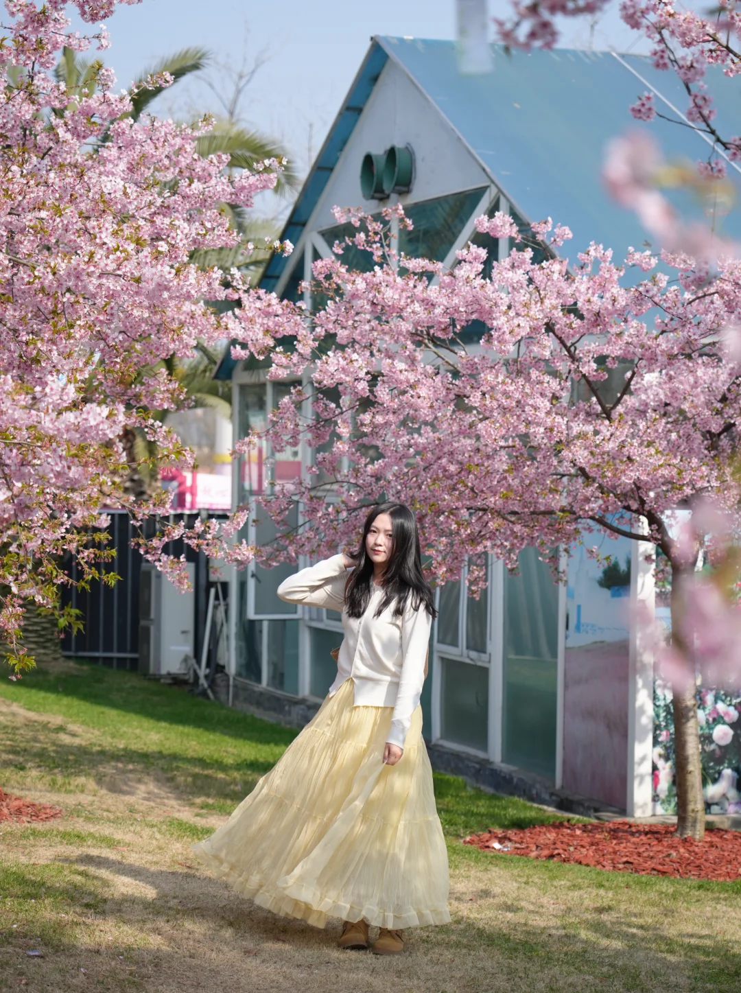 🌸樱花树下站谁都美！抓住这波早春的浪漫～