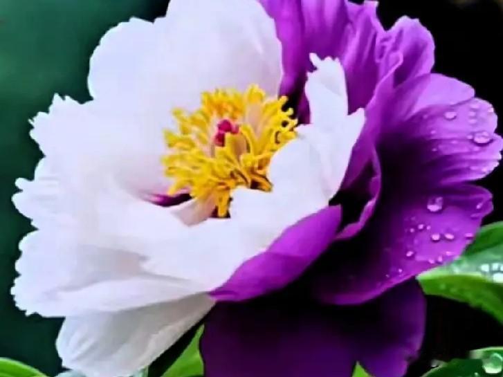 一味地迁就、妥协，放下自己的原则去讨好，时间久了，这份付出就变成了理所当然。
你