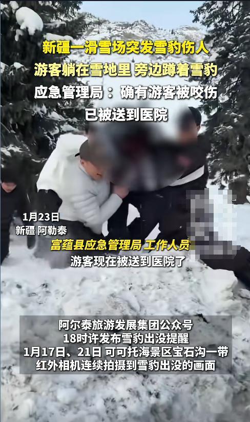 应急管理局回应 新疆一滑雪场雪豹伤人事件：确实有游客被咬伤   报警后及时送医救