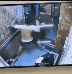 电梯突发骚扰事件，保安出手救人被壮汉殴打。练家子保安反手反击，快速制服骚扰男子救