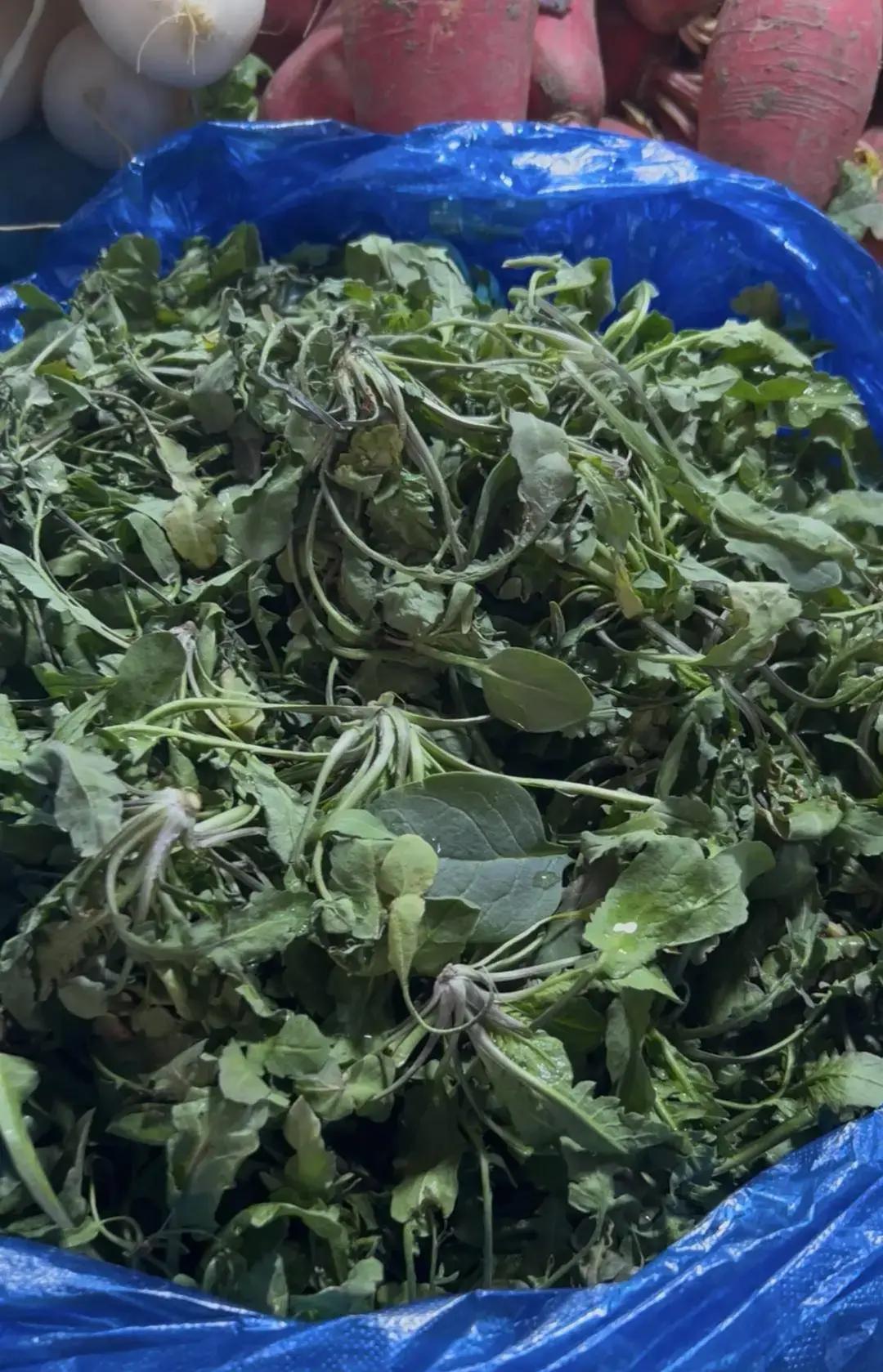 立春刚过，南京菜场里“七头一脑”野菜已经抢先冒头，香椿头价格直接跳水，比往年春节