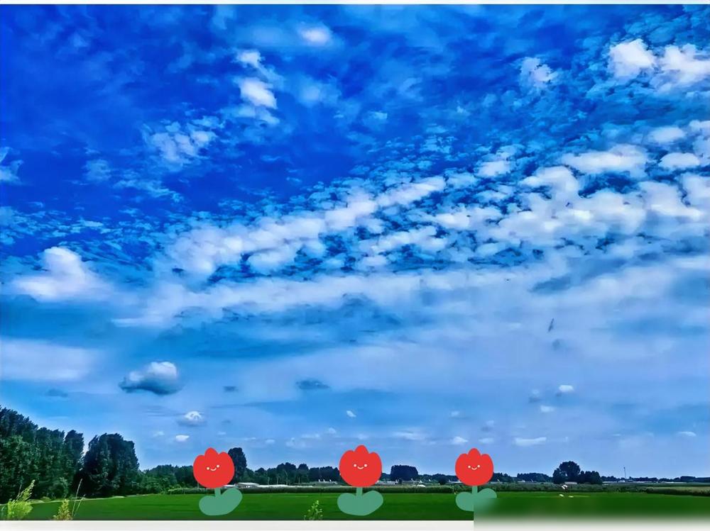 提前通知一下，大家好有个心理准备。

我去年就踩过这时候的坑，刚出伏觉得终于熬完
