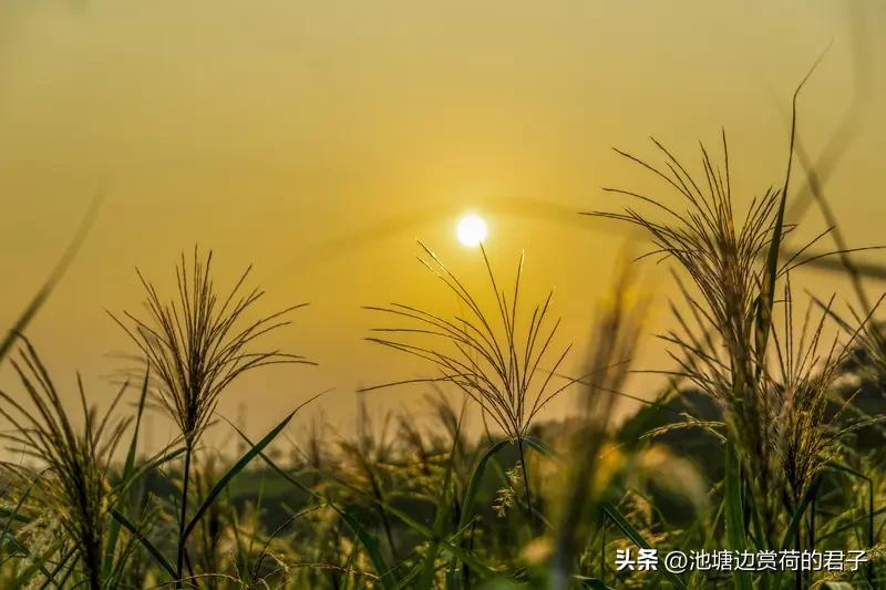 嫌爸妈取名太生僻4岁娃自己改名 现在的小孩想法真的太酷了！河北张家口有个4岁萌娃
