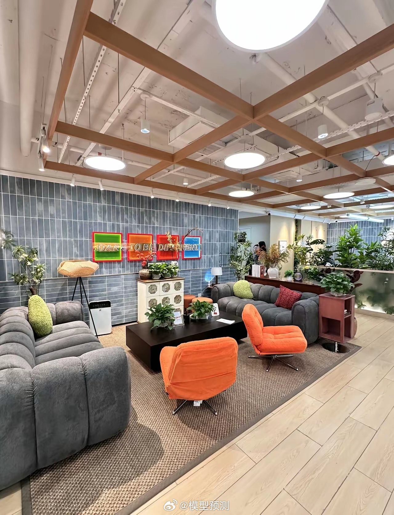 深圳的创新速度就是快。一人龙虾创业公司铺开了。 