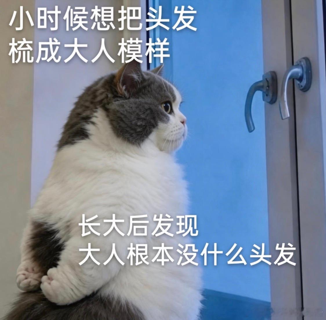 长大后先对什么祛魅了先对“好想长大”祛魅！小时候总盼快点长高、长大、毕业、不用再