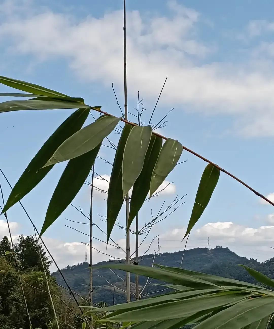 刷到一条高赞帖子说女生千万别把前任数量告诉现任，底下两千多条吵架。
有人现身说法