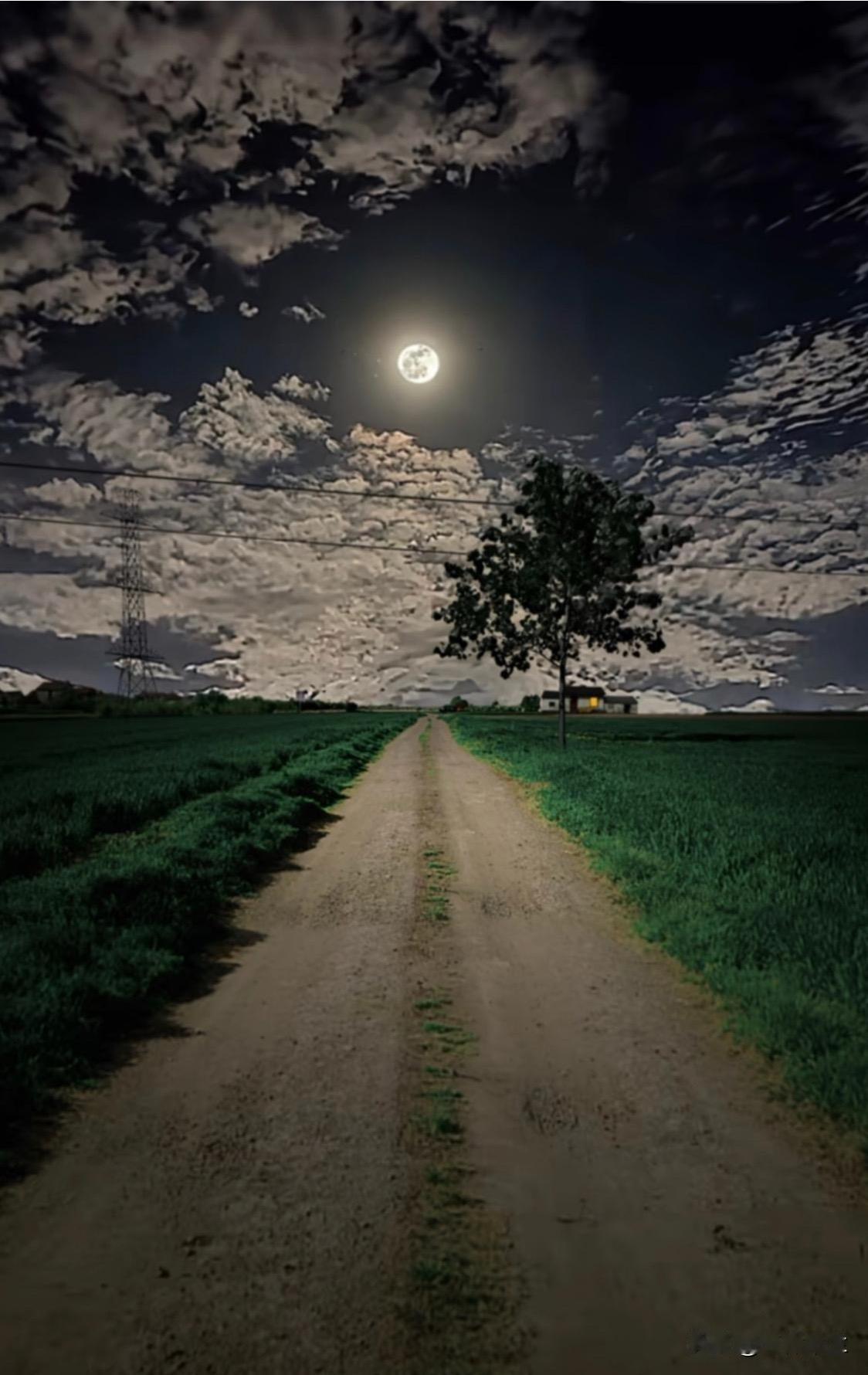 人生最难吃的三碗面是什么面人生最难吃的第一碗面是喜面，自己吃不了；最难吃的第三碗