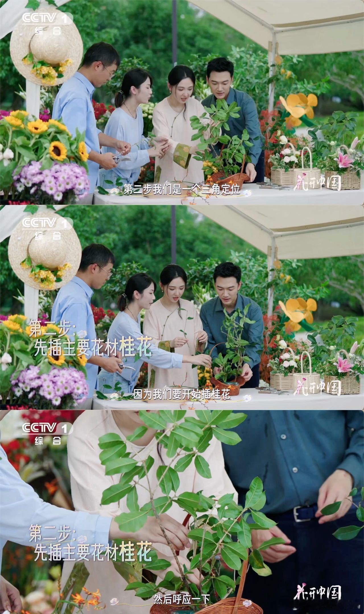 救命！这才是秋日该有的仪式感～ 桂花香气+简约造型，插完整个家都变有诗意，随手拍