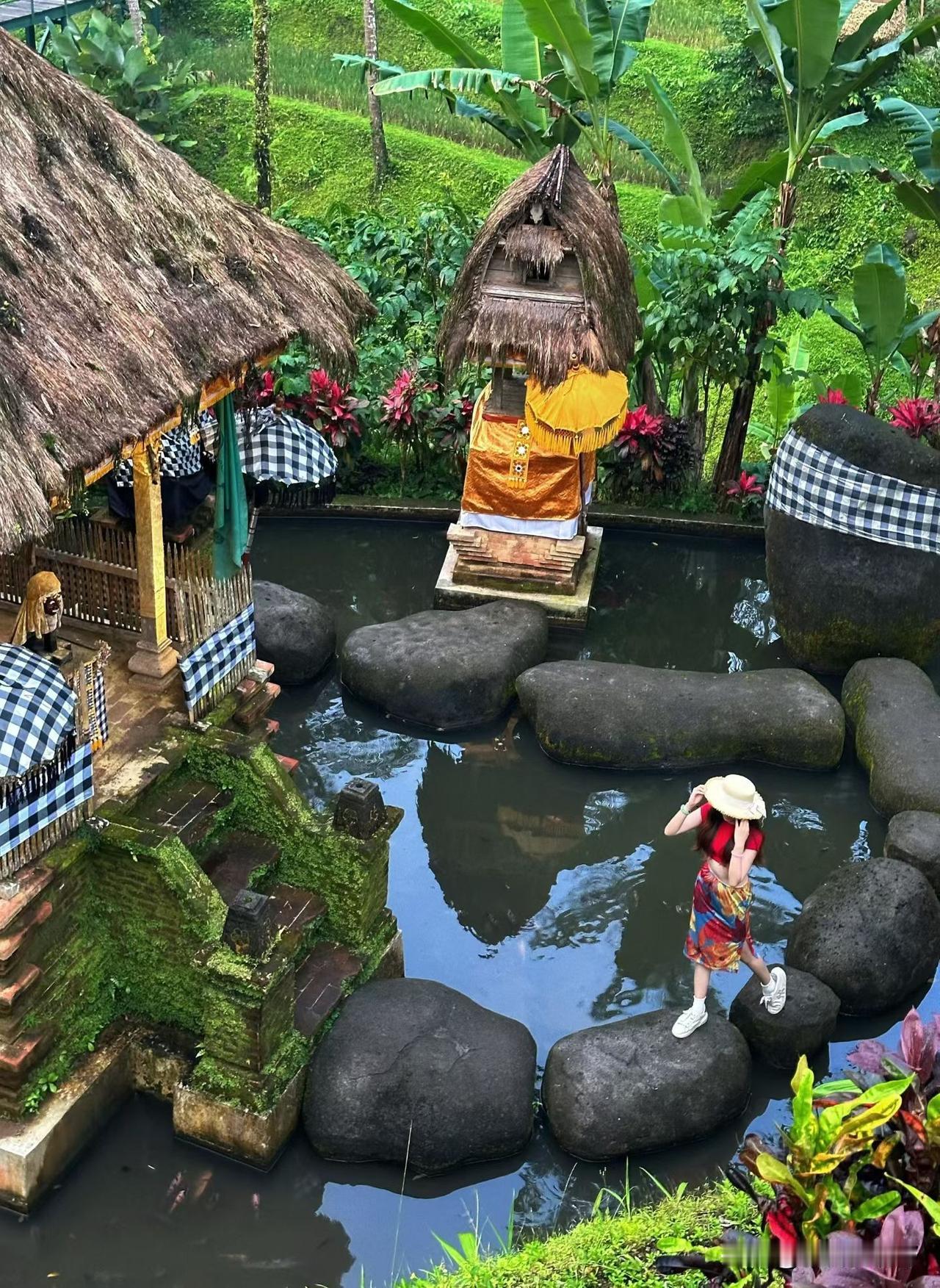 热带风情小木屋，绿意盎然，静享自然之美打卡随手拍花草 热带生态景区 热带绿植景观