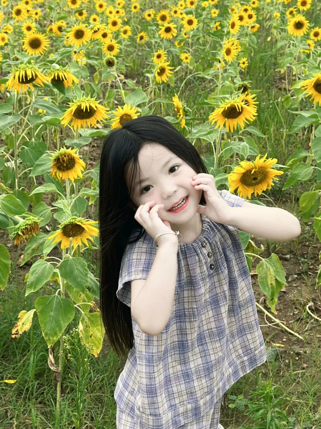 🌻希望你永远自由～