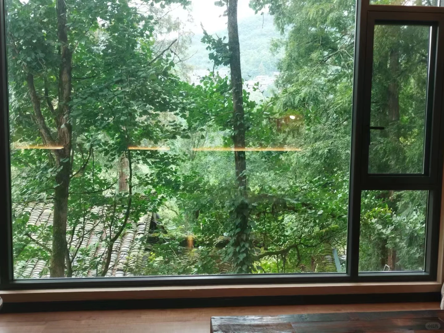 暑假遛娃好去处｜去有风的地方溜达溜达👣