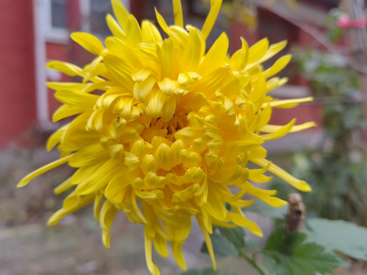 我们只需文化自信，无需以最优秀自居。