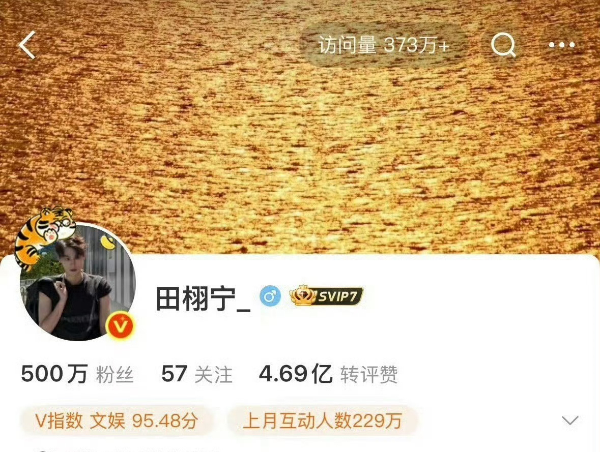 田栩宁的微博粉丝量已经上500万了！也是今年很不错的流量了🙊 ​​​