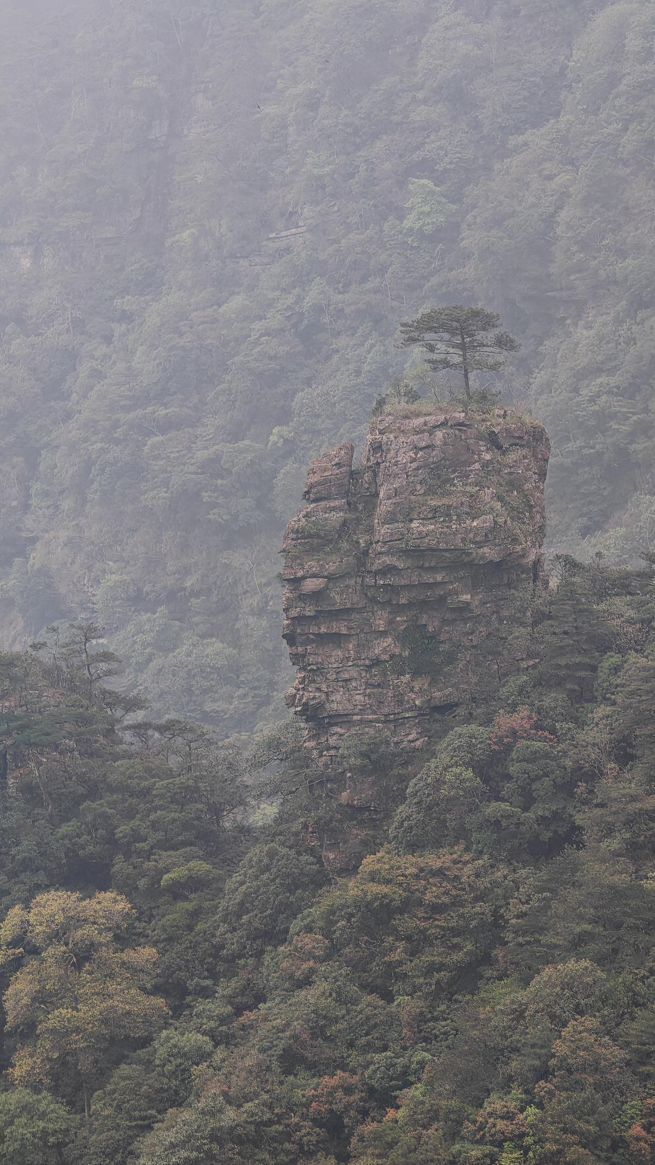 松间石上立，云外见禅心。手机摄影于金秀圣堂山。