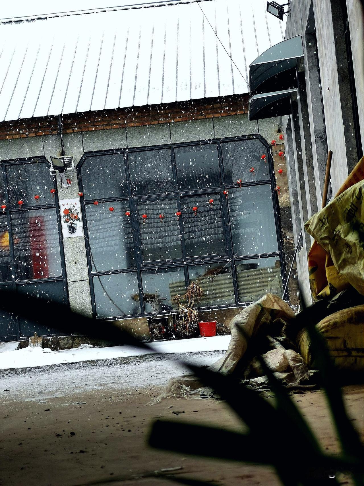 回到山东老家，昨天开始下雨，是冻雨，车窗玻璃都是冰凌，今早起来已经开始下起了雪，