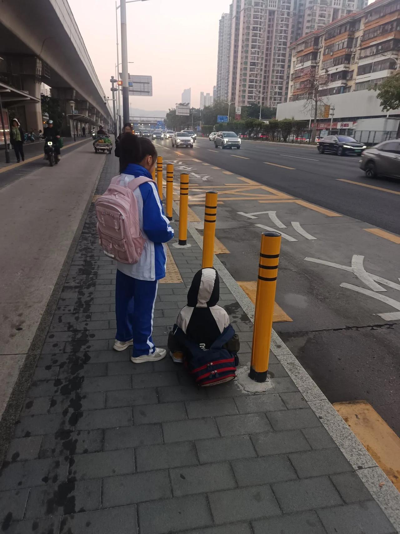 小姐姐才十岁，就带着弟弟上学了，照顾弟弟，
还是女孩子懂事早，记得小时候，我哥哥