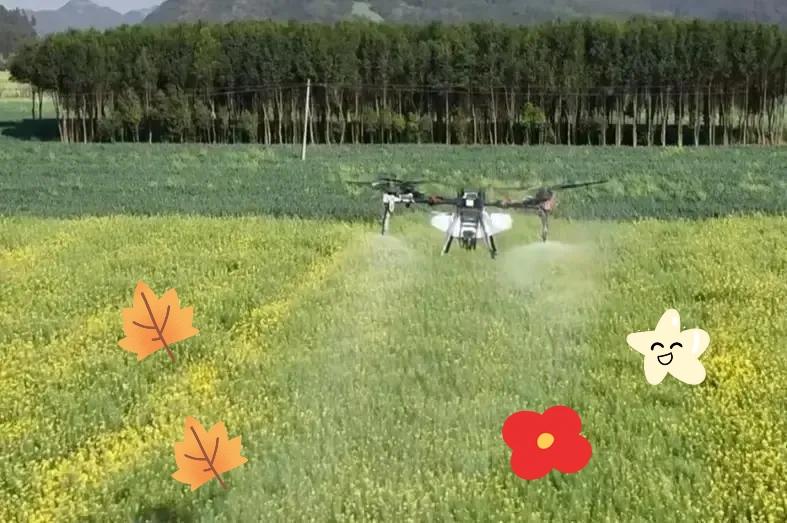 关于无人机油菜打药与蜜蜂死亡的疑问？

有人不禁想问：**打药的无人机从何而来？