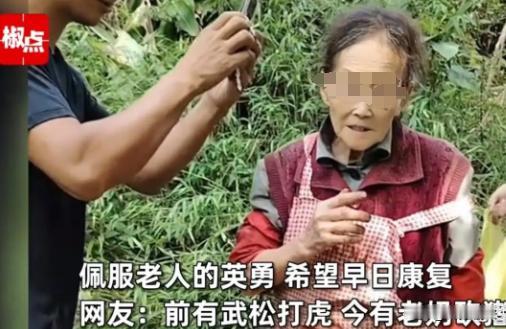 云南，77岁的赵老太，一个看似弱不禁风的老人，竟在割菜时遭遇了野猪的猛烈袭击。然